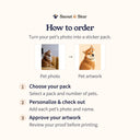 Choose a sticker pack, add pet photos and names, then approve your artwork before printing.