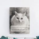 A black-and-white memorial cat canvas hangs above teal cushions.