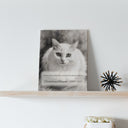 A memorial cat portrait canvas rests on a floating wooden shelf.