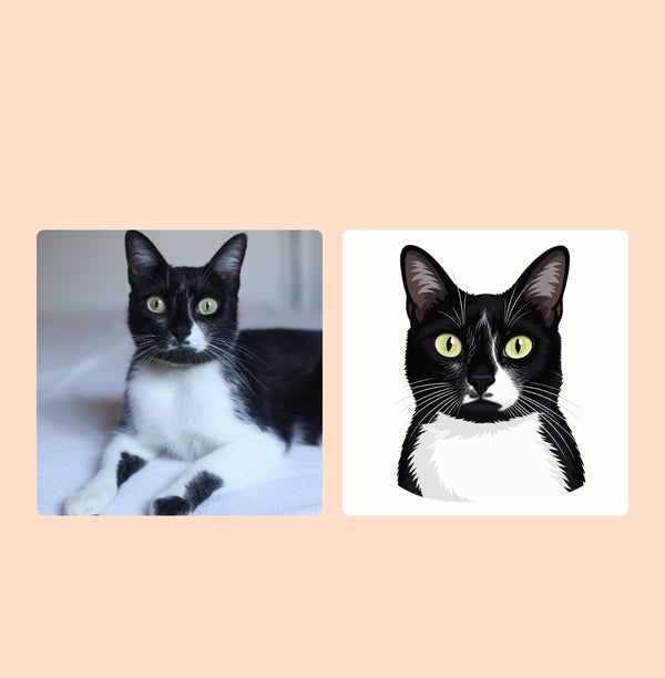 Domino's photograph beside a matching illustrated cat portrait