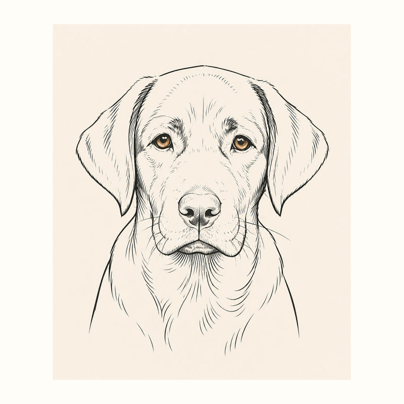 Line Art