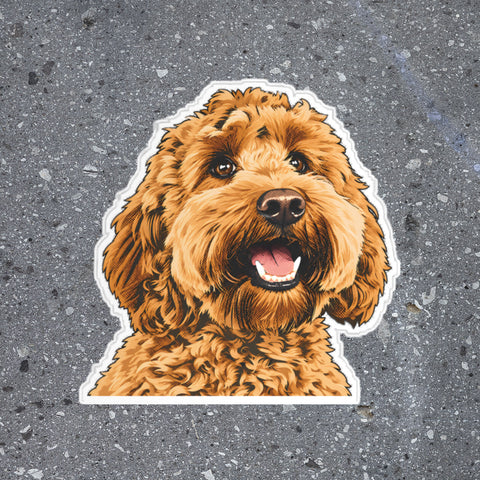 Pop Art