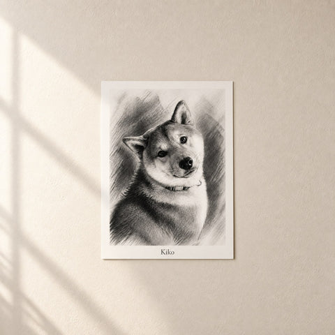 B&W / Charcoal